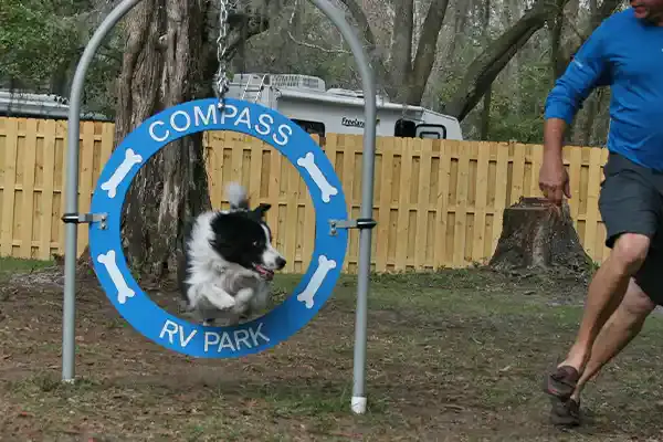 Custom Dog Park Equipment